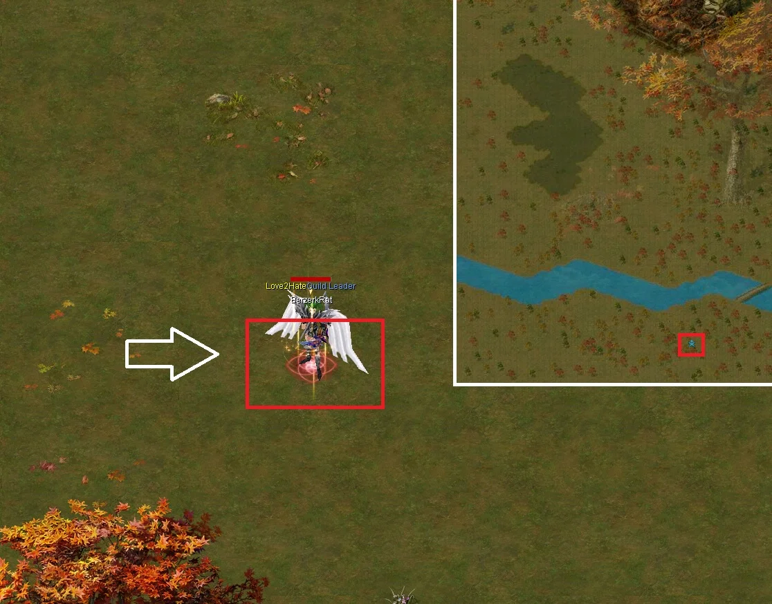 Ganoderma spawn location